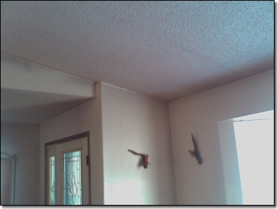 Soot Inside Home 2